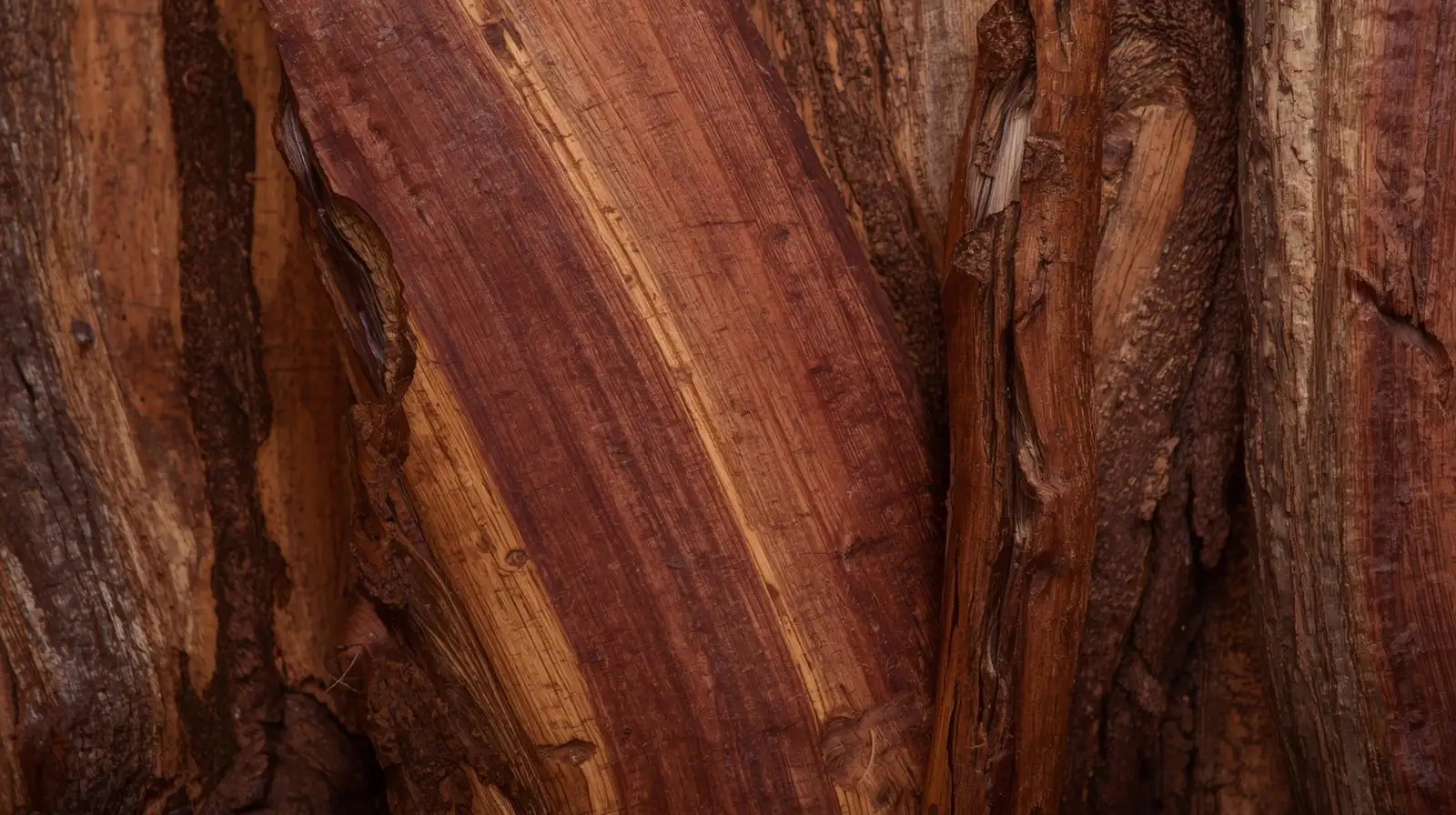 Sheesham Wood Indian Rosewood Logs